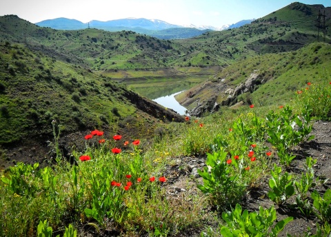 Trekking w Armenii, zwiedzanie Erywania i zdobywanie szczytu Aragac. fot. © Zdzisław Obiegała z Barents.pl Trekking w Armenii, zwiedzanie Erywania i zdobywanie szczytu Aragac. fot. © Zdzisław Obiegała z Barents.pl