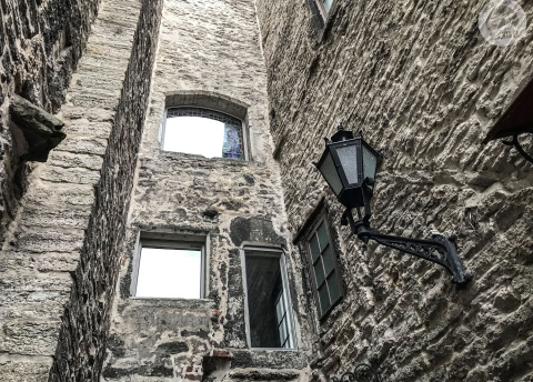 Wycieczka do Estonii: estońska przyroda i Vana Tallinn fot. © Małgosia Busz, Barents.pl