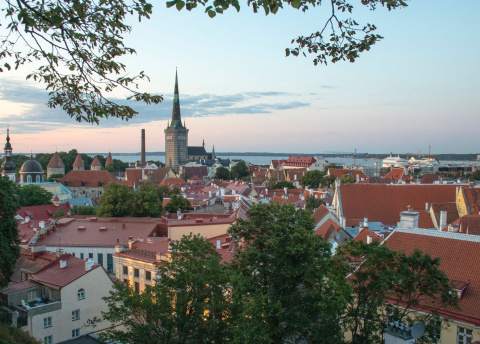 Wycieczka do Estonii: estońska przyroda i Vana Tallinn fot. © Julius Jansson