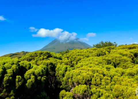 Azory: sylwester i noworoczne trekkingi na São Jorge, Faial i Pico fot. © Michał Bogdański, Barents.pl Azory: sylwester i noworoczne trekkingi na São Jorge, Faial i Pico fot. © Michał Bogdański, Barents.pl