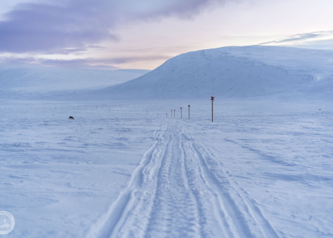 Finlandia: Sylwestrowe wycieczki na biegówkach w Laponii Fot. © Alek Styrna, pilot Barents.pl Finlandia: Sylwestrowe wycieczki na biegówkach w Laponii Fot. © Alek Styrna, pilot Barents.pl