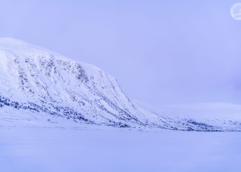 Finlandia: Sylwestrowe wycieczki na biegówkach w Laponii Fot. © Bart Zieliński, pilot Barents.pl