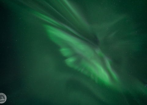 Finlandia: Sylwestrowe wycieczki na biegówkach w Laponii Fot. © Bart Zieliński, pilot Barents.pl