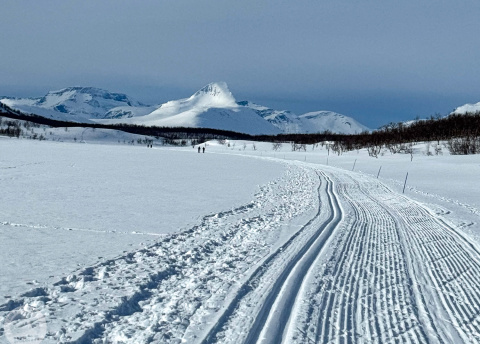 Finlandia: Sylwestrowe wycieczki na biegówkach w Laponii Fot. © Alek Styrna, pilot Barents.pl