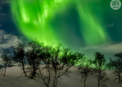 Finlandia: Sylwestrowe wycieczki na biegówkach w Laponii Fot. © Alek Styrna, pilot Barents.pl