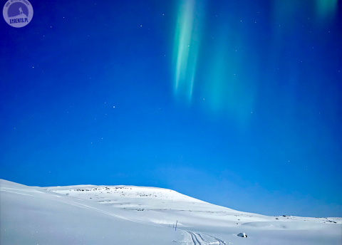 Finlandia: Sylwestrowe wycieczki na biegówkach w Laponii Fot. © Alek Styrna, pilot Barents.pl