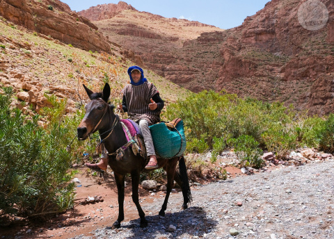 Trekking w Maroku: śladami koczowników między Atlasem a Saharą fot. © Iwona Grzywaczewska, w Maroku z Barents.pl