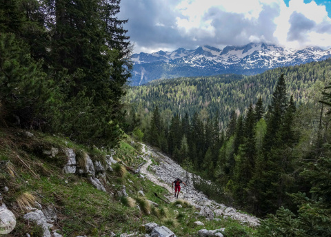 Słowenia: trekking przez Alpy Julijskie i wejście na Triglav fot. © Mateusz Kuszela, Barents.pl