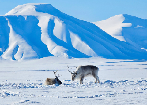 Ekspedycja na skuterach śnieżnych przez Spitsbergen, fot. © Dominik Petelski, przewodnik Barents.pl