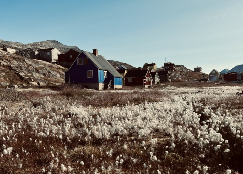 Wyprawa na Grenlandię: Scoresby Sund - najdłuższy fiord na świecie fot. © Roman Stanek