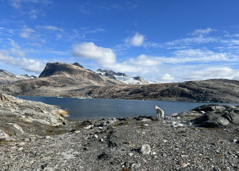 Wyprawa na Grenlandię: Scoresby Sund - najdłuższy fiord na świecie fot. © Roman Stanek