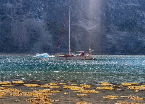 Wyprawa na Grenlandię: Scoresby Sund - najdłuższy fiord na świecie fot. © Roman Stanek