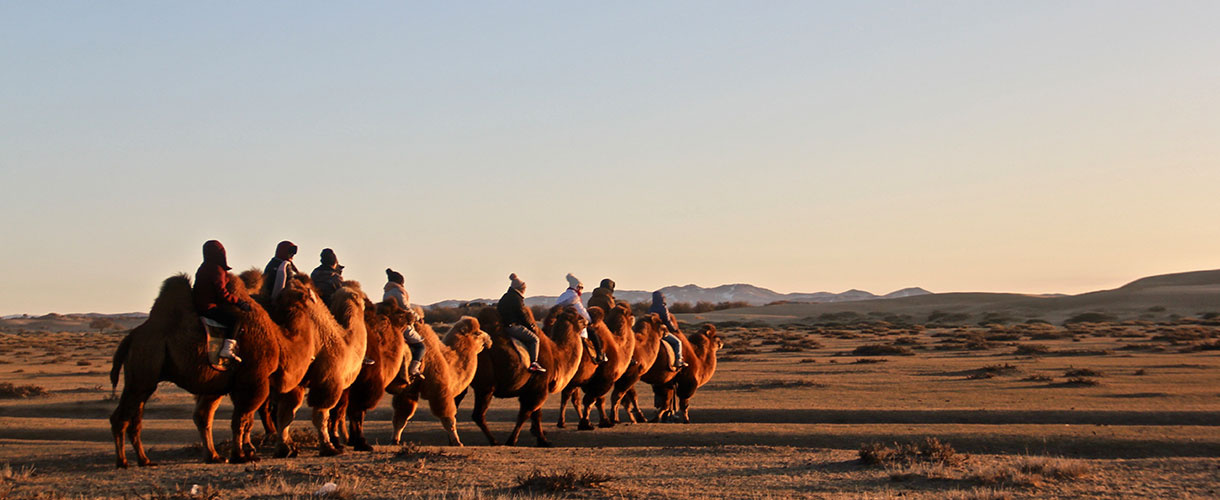 Wyprawa do Mongolii: przez mongolski step i pustynię. Fot. © Lokalni partnerzy Barents.pl