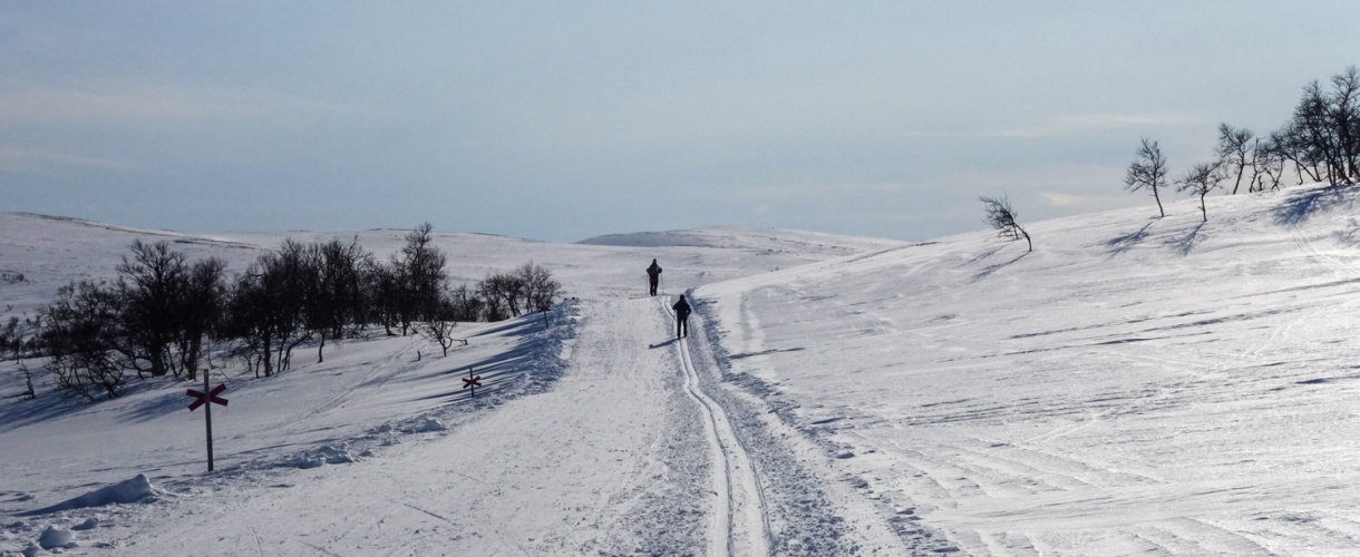 Biegówki w Szwecji: świetne trasy biegowe w Bruksvallarna fot. © Mateusz Kuszela, Barents.pl