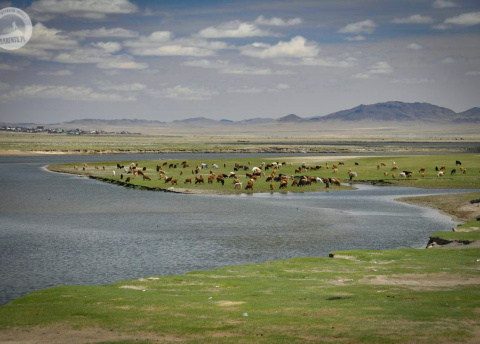 Wyprawa do Mongolii: przez mongolski step i pustynię. Fot. © Ivo Dokoupil, Zdenek Vacha dla Barents.pl
