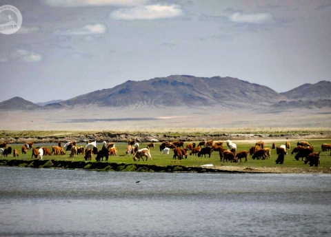 Wyprawa do Mongolii: przez mongolski step i pustynię. Fot. © Ivo Dokoupil, Zdenek Vacha dla Barents.pl
