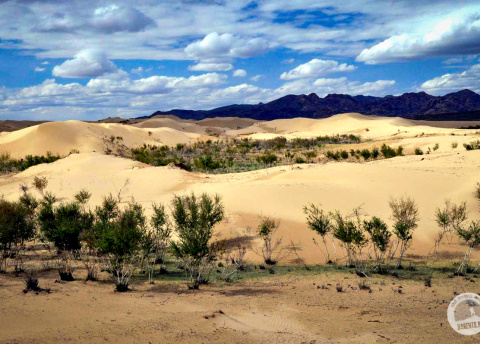 Wyprawa do Mongolii: przez mongolski step i pustynię. Fot. © Ivo Dokoupil, Zdenek Vacha dla Barents.pl
