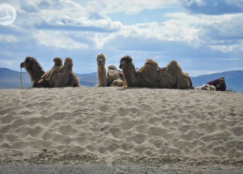 Wyprawa do Mongolii: przez mongolski step i pustynię. Fot. © Ivo Dokoupil, Zdenek Vacha dla Barents.pl