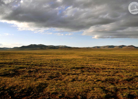 Wyprawa do Mongolii: przez mongolski step i pustynię. Fot. © Ivo Dokoupil, Zdenek Vacha dla Barents.pl