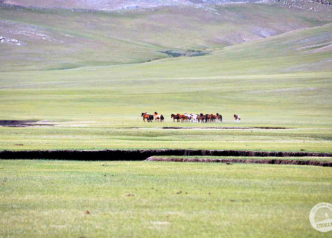 Wyprawa do Mongolii: przez mongolski step i pustynię. Fot. © Ivo Dokoupil, Zdenek Vacha dla Barents.pl