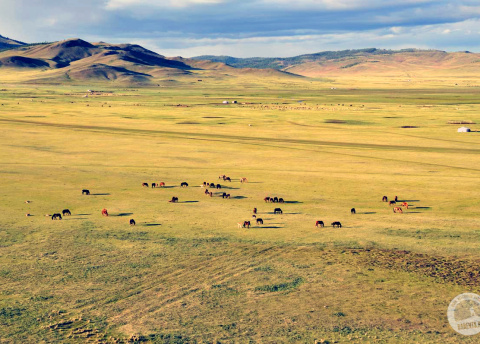 Wyprawa do Mongolii: przez mongolski step i pustynię. Fot. © Ivo Dokoupil, Zdenek Vacha dla Barents.pl