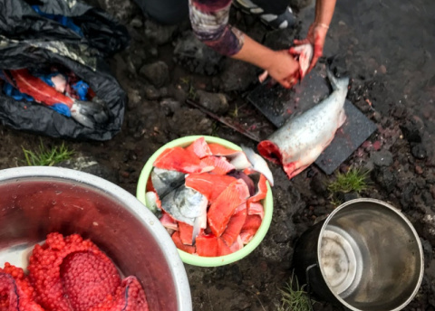Swieta robi grilla z łososia i kawior "pięciominutkę". Kamczatka: w krainie wulkanów © Paweł Gardziej, Barents.pl 2018
