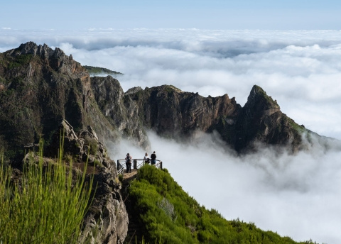 Sylwester na Maderze: spacery lewadami fot. © Magda Załoga, Barents.pl
