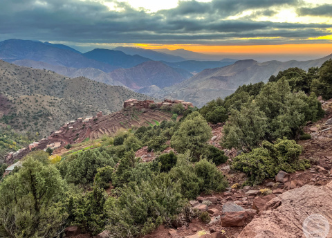 Sylwester w Maroku: słońce Sahary, Marrakesz i błękitna Essaouira fot. © Aleksandra Matusz, Barents.pl