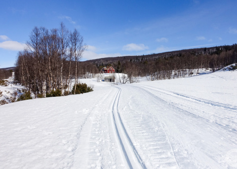 Biegówki w Szwecji: świetne trasy biegowe w Bruksvallarna fot. © Mateusz Kuszela, Barents.pl