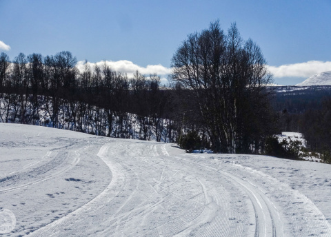 Biegówki w Szwecji: świetne trasy biegowe w Bruksvallarna fot. © Mateusz Kuszela, Barents.pl