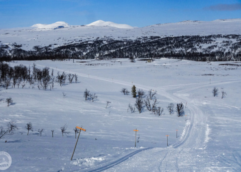 Biegówki w Szwecji: świetne trasy biegowe w Bruksvallarna fot. © Mateusz Kuszela, Barents.pl
