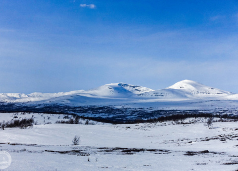 Biegówki w Szwecji: świetne trasy biegowe w Bruksvallarna fot. © Mateusz Kuszela, Barents.pl