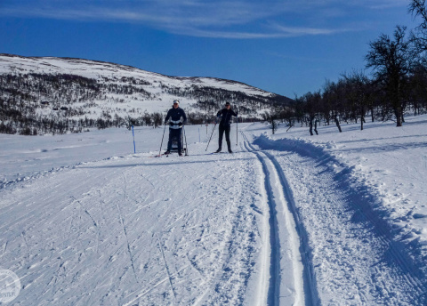 Biegówki w Szwecji: świetne trasy biegowe w Bruksvallarna fot. © Mateusz Kuszela, Barents.pl