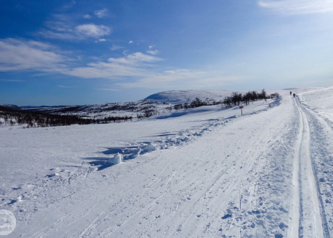 Biegówki w Szwecji: świetne trasy biegowe w Bruksvallarna fot. © Mateusz Kuszela, Barents.pl