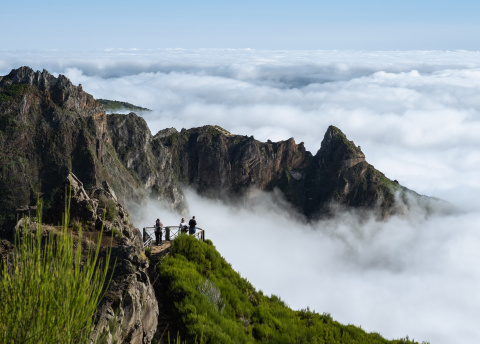 Madera. Wyspa wiecznej wiosny i najpiękniejszych spacerów. fot. @ Magda Załoga, na Maderze z Barents.pl